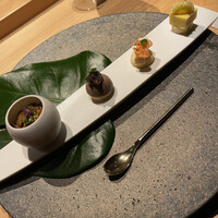 シブ ニシナカス - 