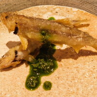 銀座 稲葉 - 稚鮎の天麩羅(コース料理 おまかせコース)