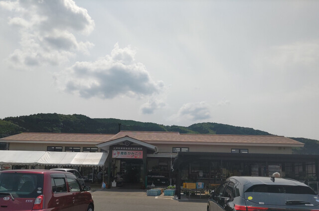 遠野酪農舎 夢産直かみごう店 - 平倉（ジェラート・アイスクリーム）の写真