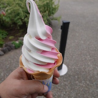 ローズカフェ_1