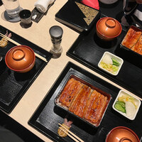 うなぎ 目白ぞろ芽 - 