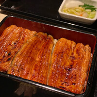 うなぎ 目白ぞろ芽 - 