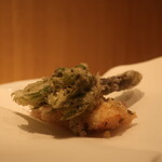 RISTORANTE IL NODO - 小田原で採れたコシアブラの天ぷらに、小坪漁港で揚がった蛸のボイルのフリット