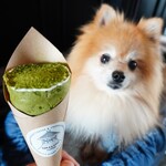 TERAKADO COFFEE - 【2022.05】抹茶クレープ・ミニサイズ(税込500円)