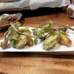 だいどこ やぶれ傘 - 山菜の天ぷら