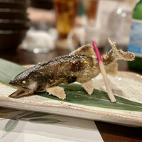 柳家錦 - 