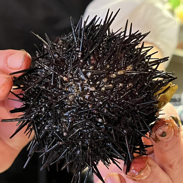 酒楽屋 恵方 - 小樽（居酒屋）の写真