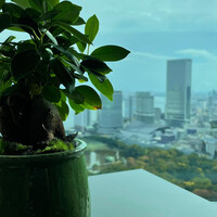 日本料理 「風花」 コンラッド東京 - 