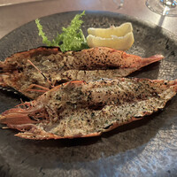 スミレオオサカ -  スミレオオサカ -