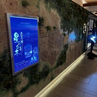 天空の庭　星のなる木 - 