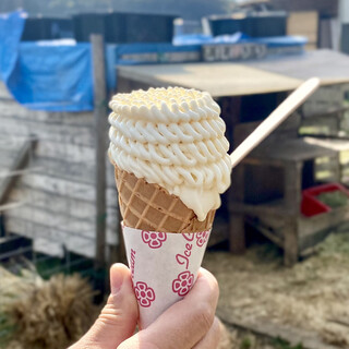 ついんスター_1