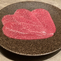 USHIGORO S. SHINJUKU - 