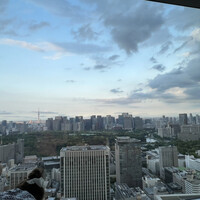 WASHOKU 蒼天  - 