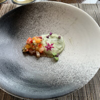 SPICE LAB TOKYO - 