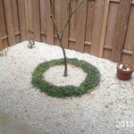 しまや 彩香 - 一番奥にはこんな小庭も(^^♪