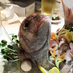 がばちょ - ((((；ﾟДﾟ))))