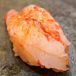 Sushi Asaduma - シマエビ