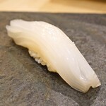 Sushi Asaduma - 白烏賊
