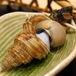 鮨あさづま - 磯つぶ貝