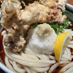 讃歌うどん はんげしょう - 鶏天ぶっかけ（アップ）