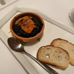 Tamborada - イカの墨煮と雲丹