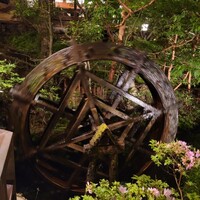 うかい鳥山 - 