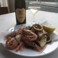 ISCHIA BIANCO(TENUTA FRASCITELLI)