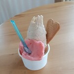手造りジェラートan - 料理写真:ヘーゼルナッツ＆ストロベリー