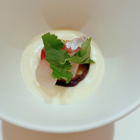 ahill ginza - 