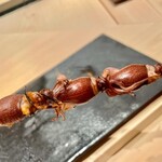 くろ﨑 - 2022.4.  蛍烏賊