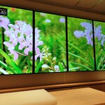 梅田 鮨 乃木坂 風 - 