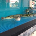 一〇そば - お～なになに！