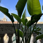 The Dome Milano - テラス席からドゥオーモの尖塔が見える