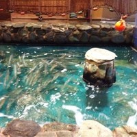 河太郎 中洲本店 - 