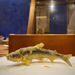 天婦羅 みやしろ - 