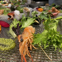 キャトルラパン - 見ているだけでハイテンションになる前菜