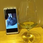 フィエルテ - シャルトリューズで伝次郎（シャルトリュー）の供養をする