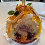 イリスウォーターテラスあやめ池 - 