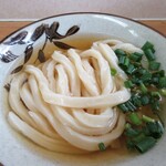 手打ちうどん こげら - かけうどん