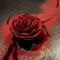 ル スプートニク - 