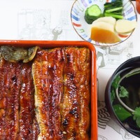 川越 いちのや - 大うな重