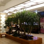 Nihombashi Shion - 日本橋三越本店 新館10階