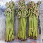 松原農園 - 3束だと　この量