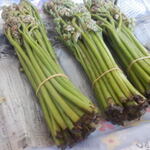 松原農園 - めっちゃ大量