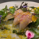 カーサ・デル・チーボ - 海の女王 天然物の松皮鰈