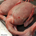 カーサ・デル・チーボ - 青森産 銀の鴨