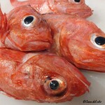 カーサ・デル・チーボ - 八戸産の喜知次