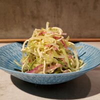 CINA New Modern Chinese - 