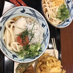 Marugame Seimen - 