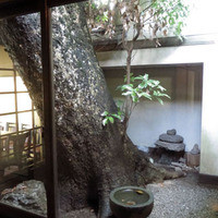 泉里 - 